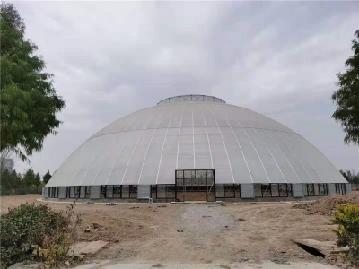 鱼台2000平米阳光板鸟巢温室