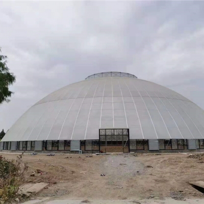 鱼台2000平米阳光板鸟巢温室