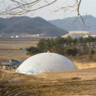 韩国案例