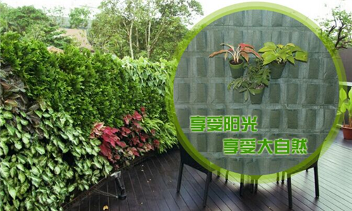 移动式植物墙(图2)