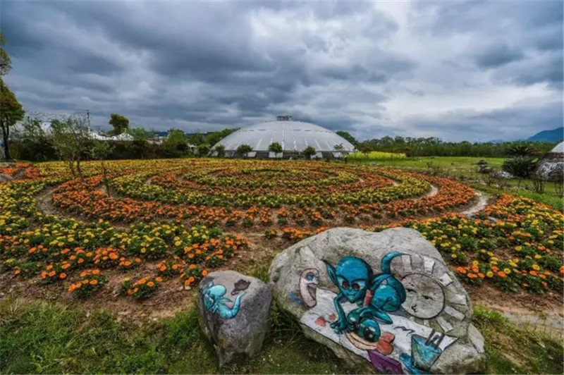 花漾星球太空农场(图6)