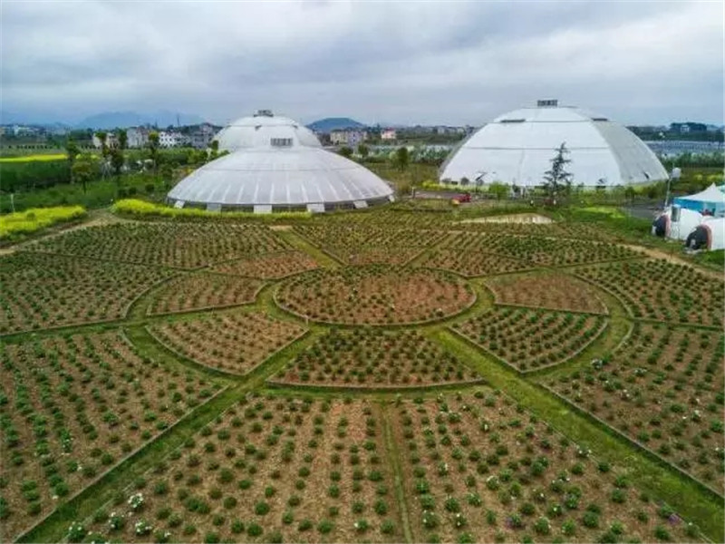 花漾星球太空农场(图11)