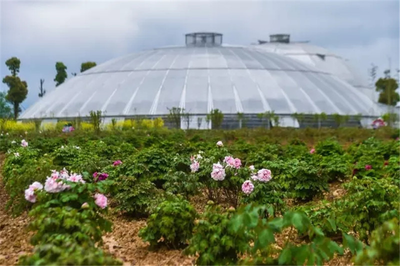 花漾星球太空农场(图10)